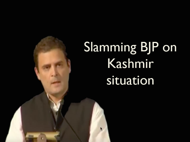 What stood out in Rahul Gandhi's speech in University of California, Berkeley