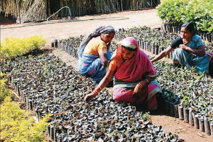 Women working on a project under MGNREGA | MGNREGA report