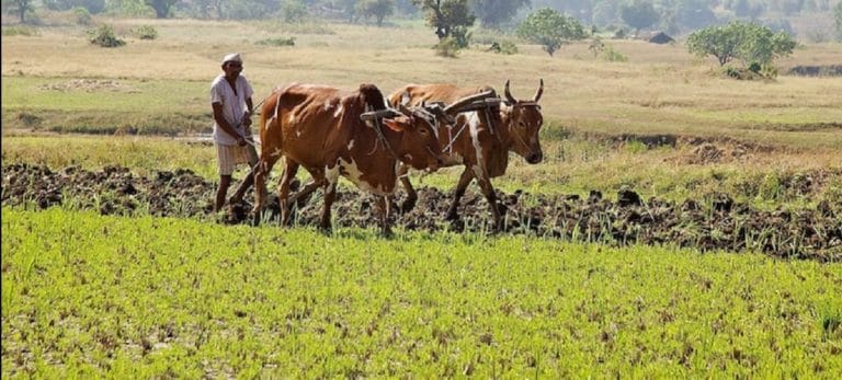 Maharashtra govt plans to complete farm loan waiver process at breakneck speed