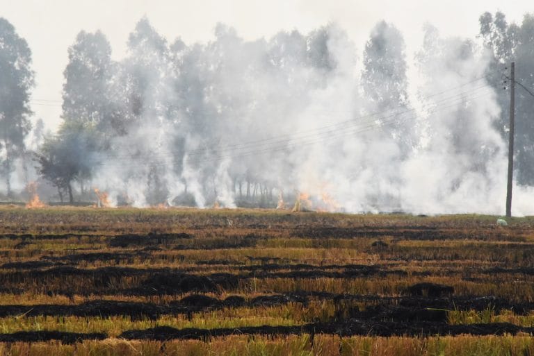 Few takers for Punjab govt’s ‘best’ solution to stubble burning