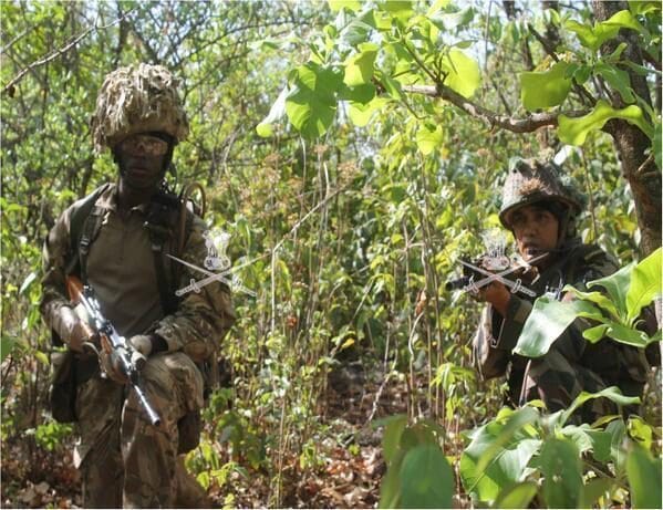 Bandipur operation is an ominous sign for terrorists in J&K