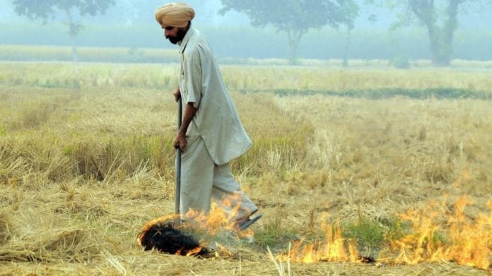 File photo of stubble burning in Punjab | Wikimedia Commons