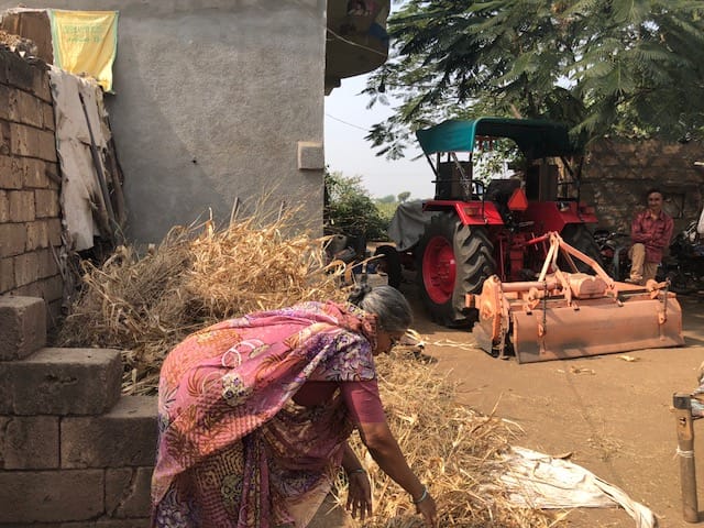 A woman handling wheat produce