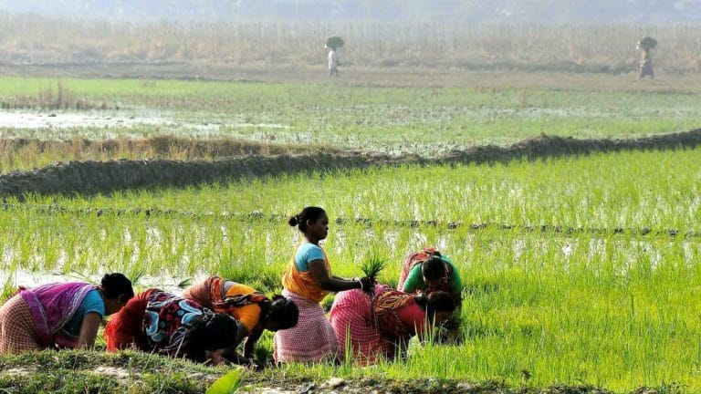 What Budget 2026 offers farmers and women entrepreneurs—SHE-Marts, AI tools, high-value crops
