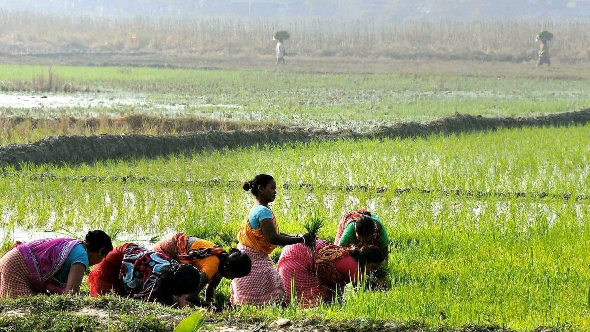 What Budget 2026 offers farmers and women entrepreneurs—SHE-Marts, AI tools, high-value crops