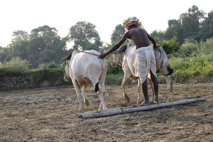 A farmer plowing the field