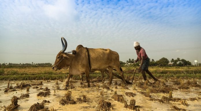 A farmer ploughing his field | Flickr