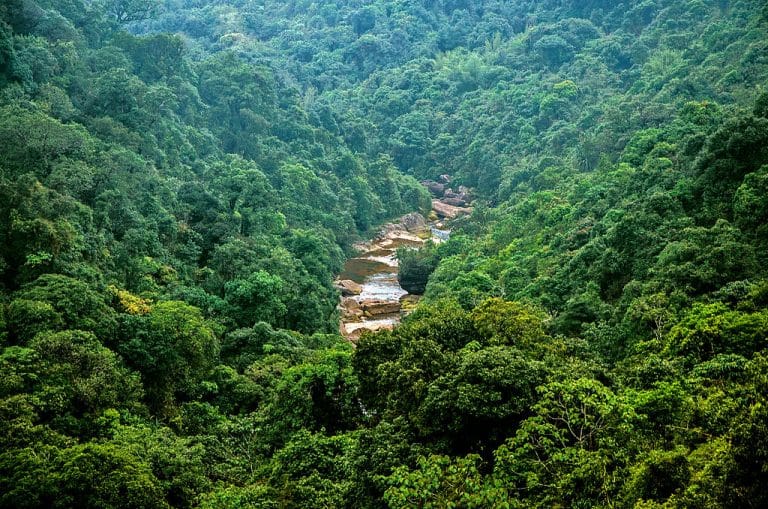 India can’t turn into another China. It must protect our ‘mother nature’ from danger