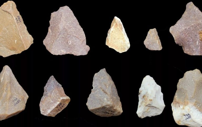 One small ancient stone tool, but giant leap for Indian prehistory, says prof who found it