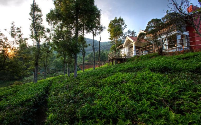 After BJP seals victories in northeast, an Airbnb boost for tourism in the region