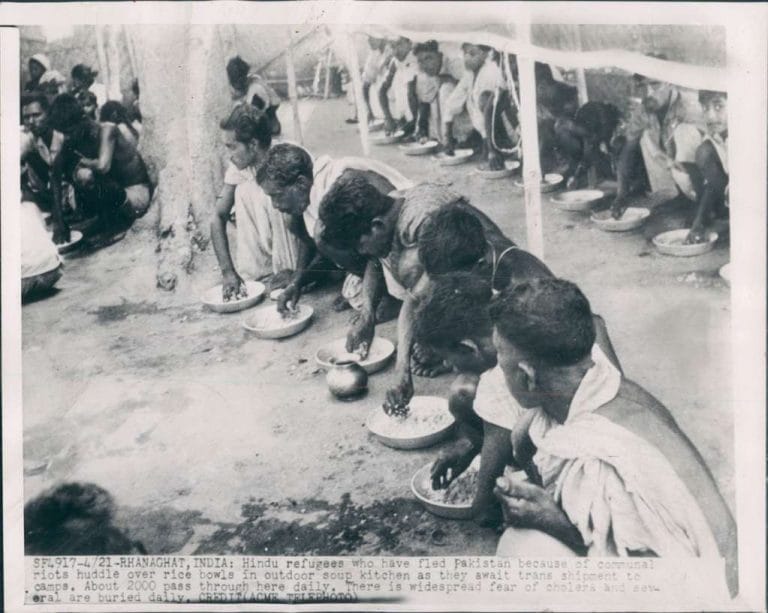 Dalmia’s ‘Fiction as History’ undercuts grand narratives to tell unspeakable tales