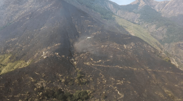 Theni forest fire