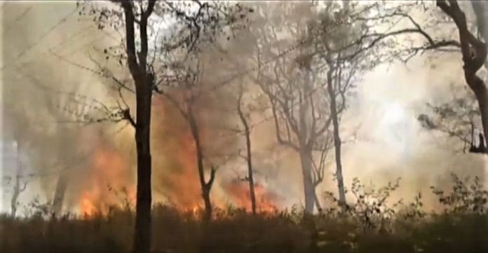 A forest fire in Kodagu district of Karnataka
