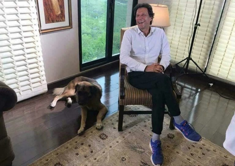 Imran Khan was doing about six grams of cocaine a night and sinking deep