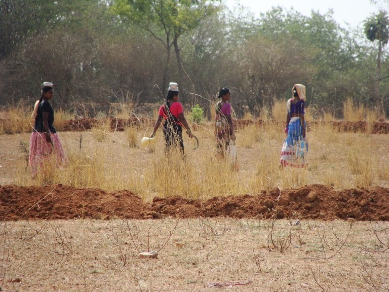 Rural India has earned significantly less since the year Modi came to power, says report