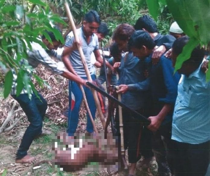 Sitapur Dog Killings