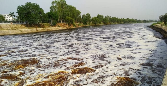 Beas water at Harike Barrage | Punjab Forest Department