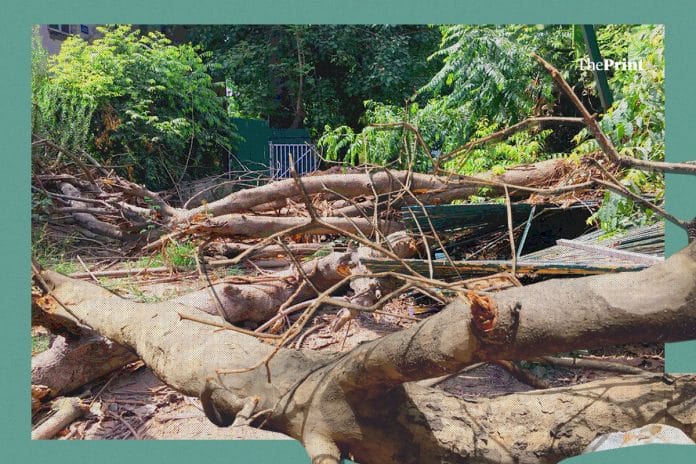 Illustration by Siddhant Gupta