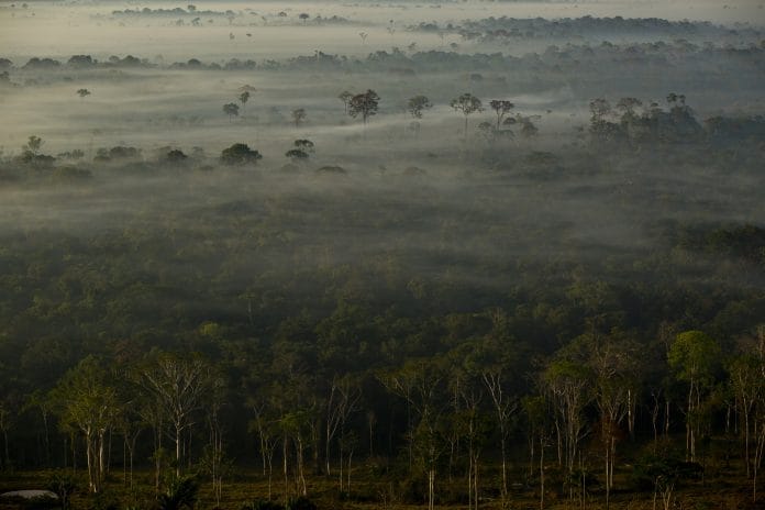 An aerial view of the Amazon rainforest between the cities of Rio Branco and Senador Guiomard, Brazil