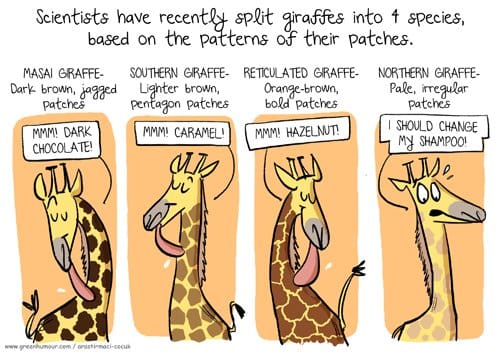 Rohan Chakravarty | Twitter