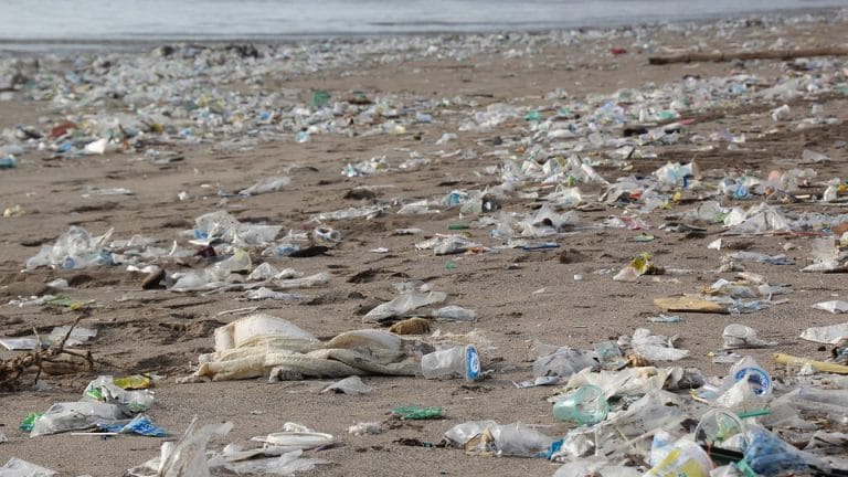 Over 60% of the plastic in our oceans came from eight Asian nations