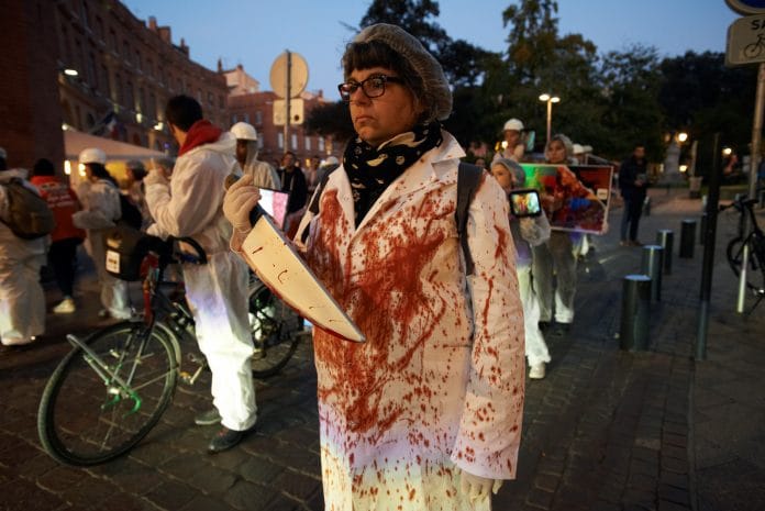 Protests against slaughterhouses in Toulouse, France | Photo by Alain Pitton/NurPhoto via Getty Images