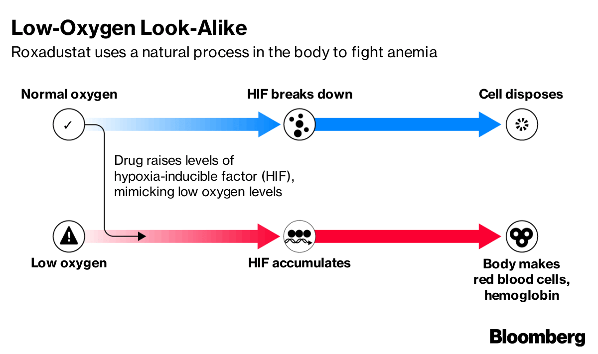 Roxadustat's process to fight anemia | Bloomberg