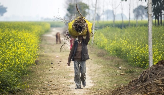 Poverty and inequality in India