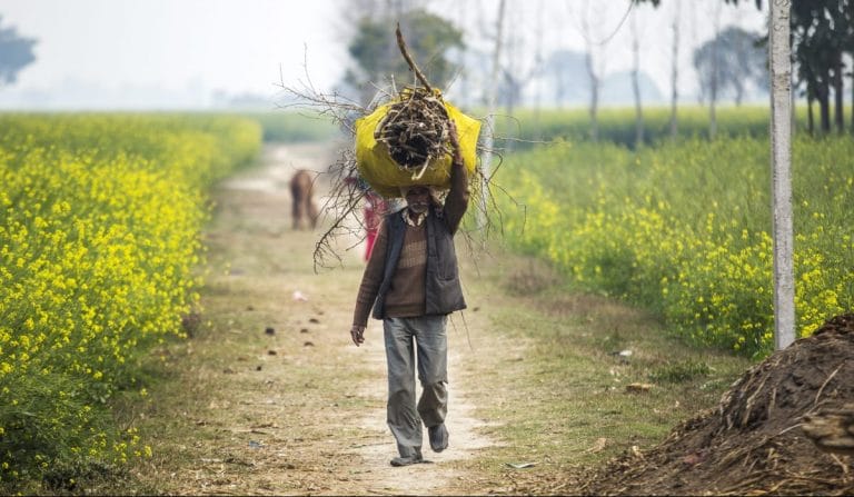 Poverty or inequality: What is more important for India and Indian economists