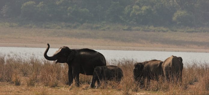 Photo for Representation