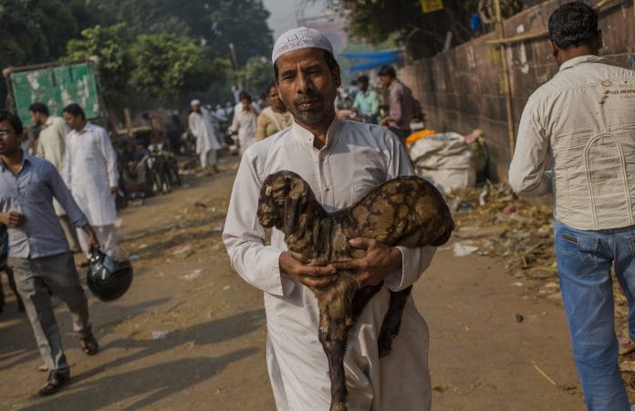 A man carries home a goat after Eid al-Adha prayers at Jama Masjid, New Delhi | Daniel Berehulak/Getty Images
