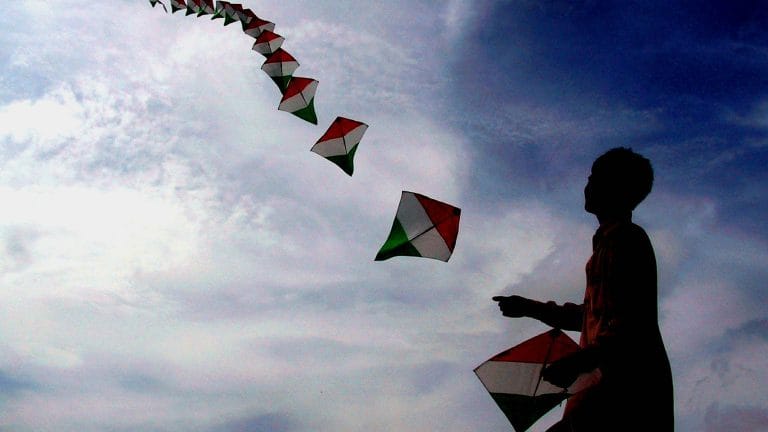 Kite-flying can be made safer for birds. Just banning manja isn’t enough