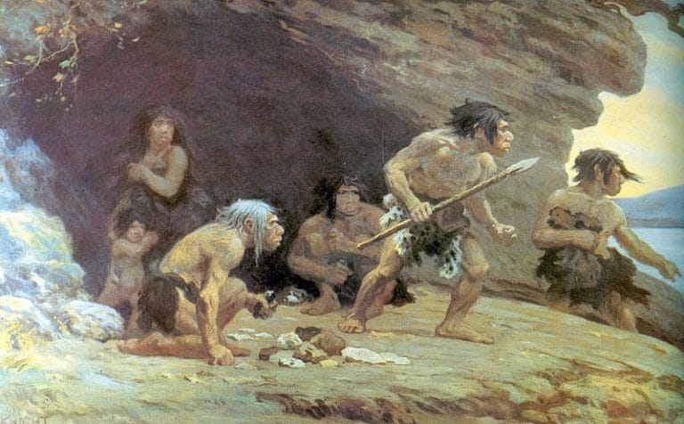 Neanderthals were no brutes. They were precise workers capable of caring for the weak