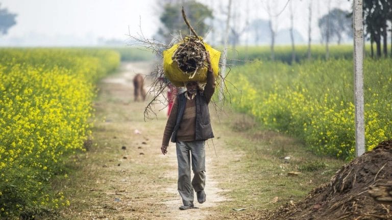 India’s poverty rate reduced to half over 10-year period, says UN