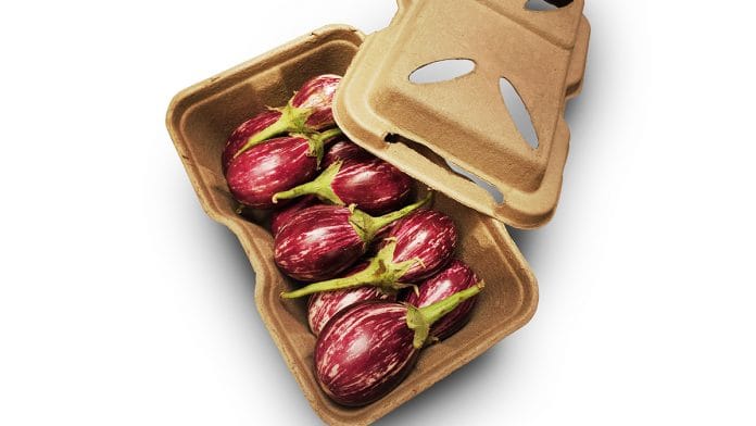 Biodegradable containers by BIO-LUTIONS | official website