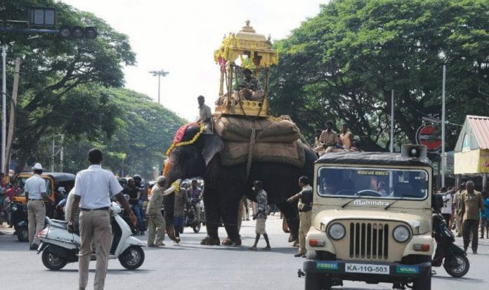 Arjuna, carrying howdah | Twitter