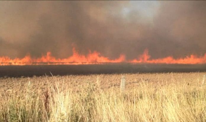 Straw being burnt in a paddy field in Punjab | YouTube