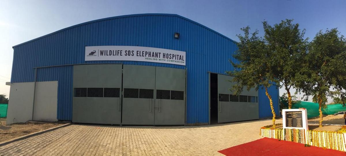 The hospital is spread across 12,000 square feet area on the banks of the river Yamuna | Facebook