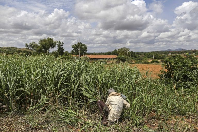 No, Modi govt’s income support scheme for farmers has not made MGNREGS redundant