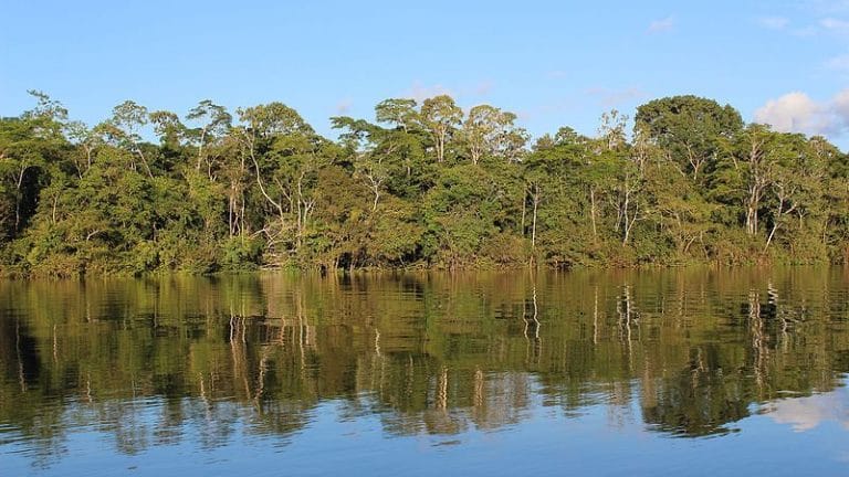 Interspecies social distancing — we need to give nature some space to save biodiversity