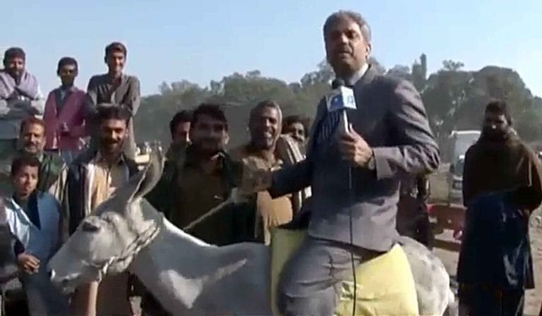 This Pakistan journalist chats with goats, interviews buffaloes, and is a viral sensation