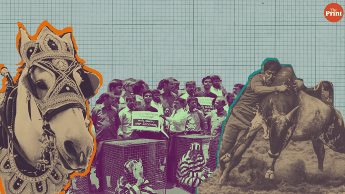 priyanka nick wedding