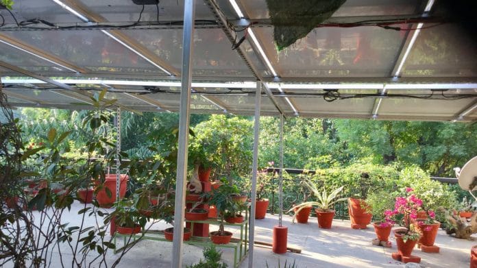 Solar panels on the author's terrace | Shailaja Chandra/ThePrint