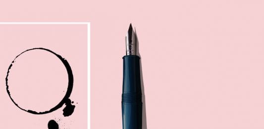 Chelpark | Illustration by Soham Sen/ThePrint