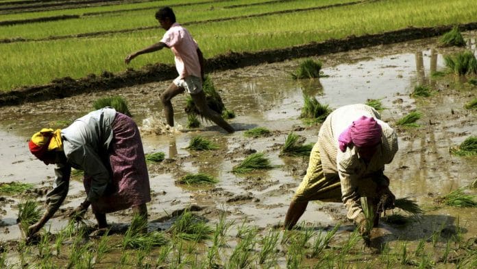 Farmers in Karnataka