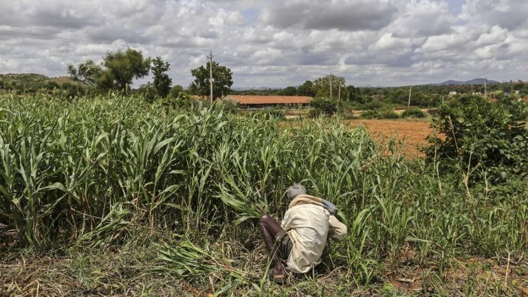 New GDP data shows India is headed for a slowdown