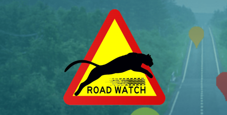 How an app is helping wild animals beat rash drivers