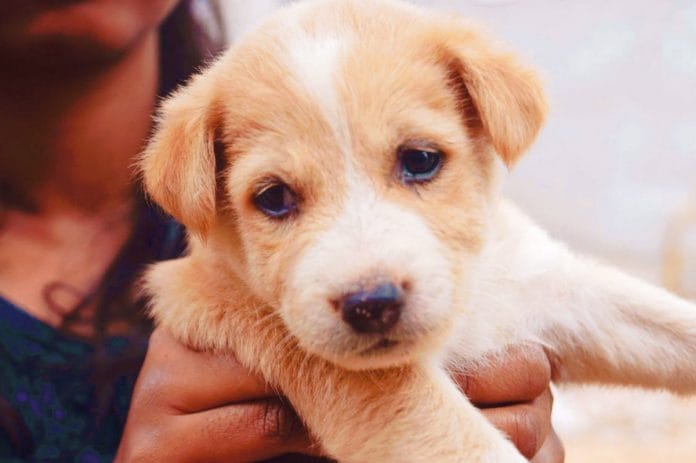 Representational image | PEXELS