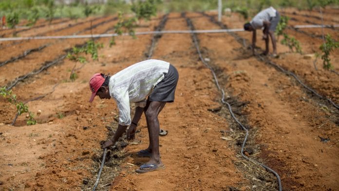 Representational image | Prashanth Vishwanathan/Bloomberg