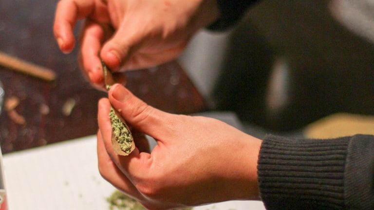 The long list of harmful effects of cannabis criminalisation no one talks about